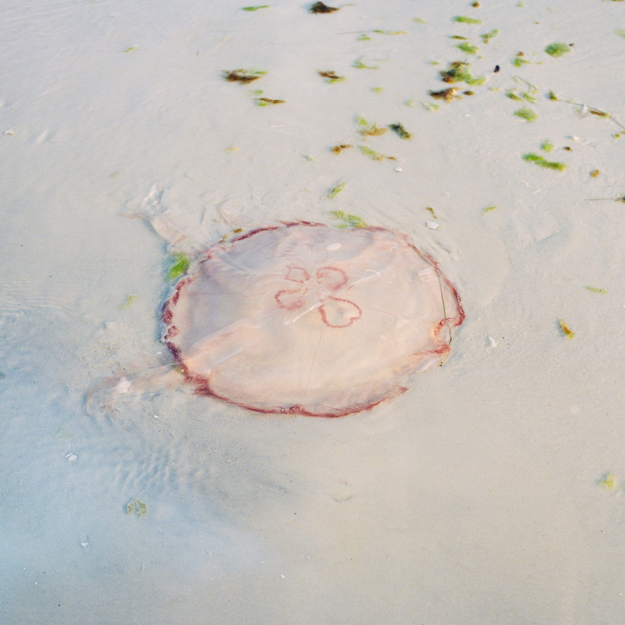 Welcome to the Gulf of Whatever