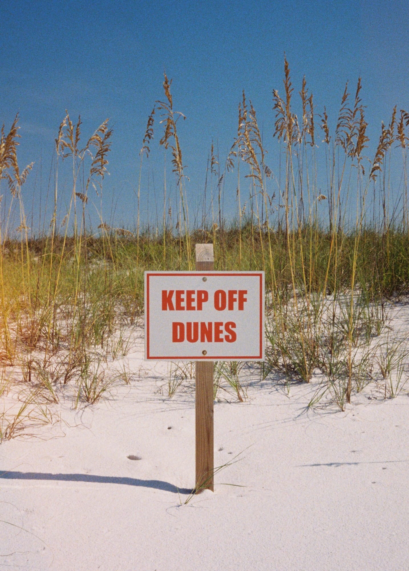 Welcome to the Gulf of Whatever
